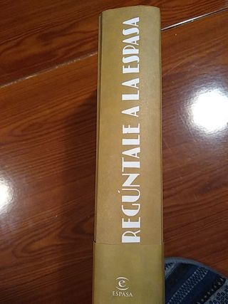Disponibilidad: